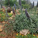 Le Camine Spa, Clima, Parking, Giardino Holiday home Matino