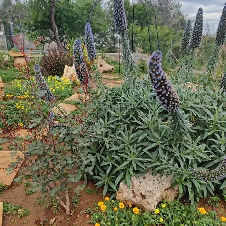 Le Camine Spa, Clima, Parking, Giardino Tatil Evi Matino